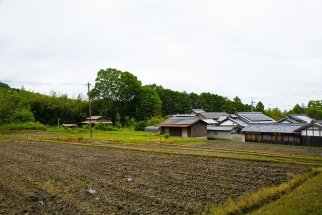 畑と家